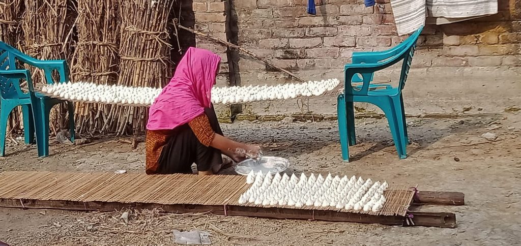 লালপুরে কুমড়ো বড়ি তৈরিতে ব্যস্ত গৃহিণীরা