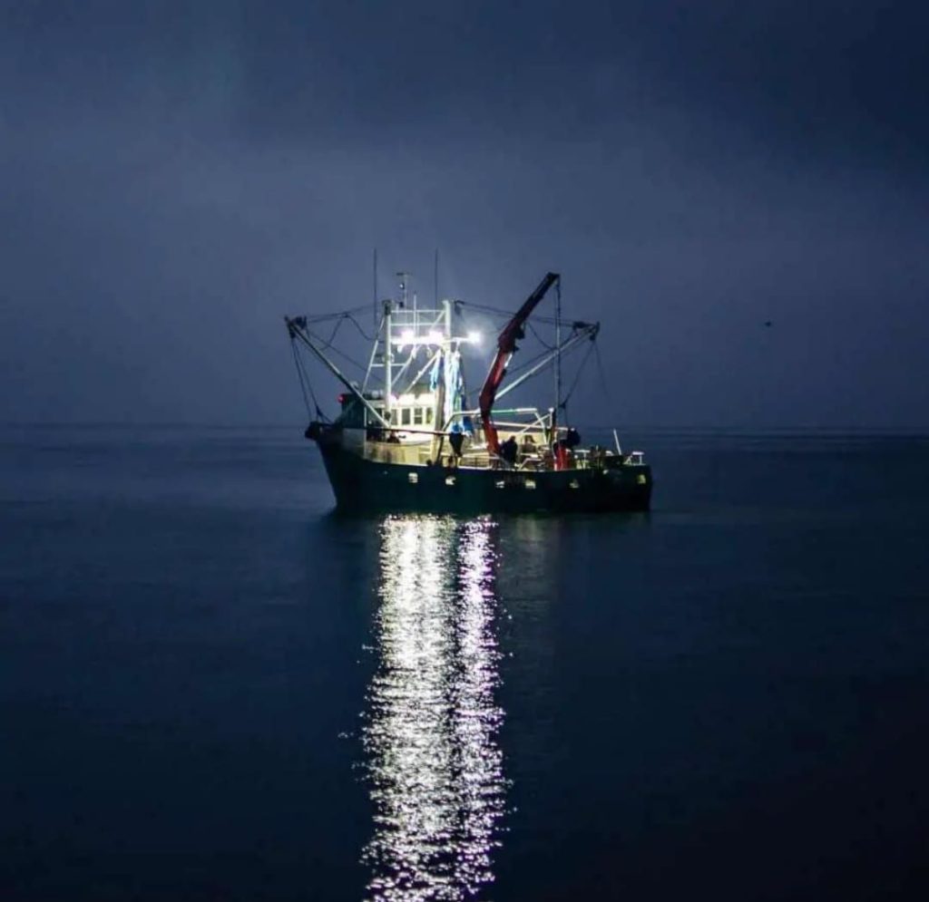বাংলাদেশের নৌবাহিনীর অবৈধ ভারতের প্রবেশ ধাক্কায় ক্ষতিগ্রস্ত ধীবররা ,নিখোঁজ ১১,জন