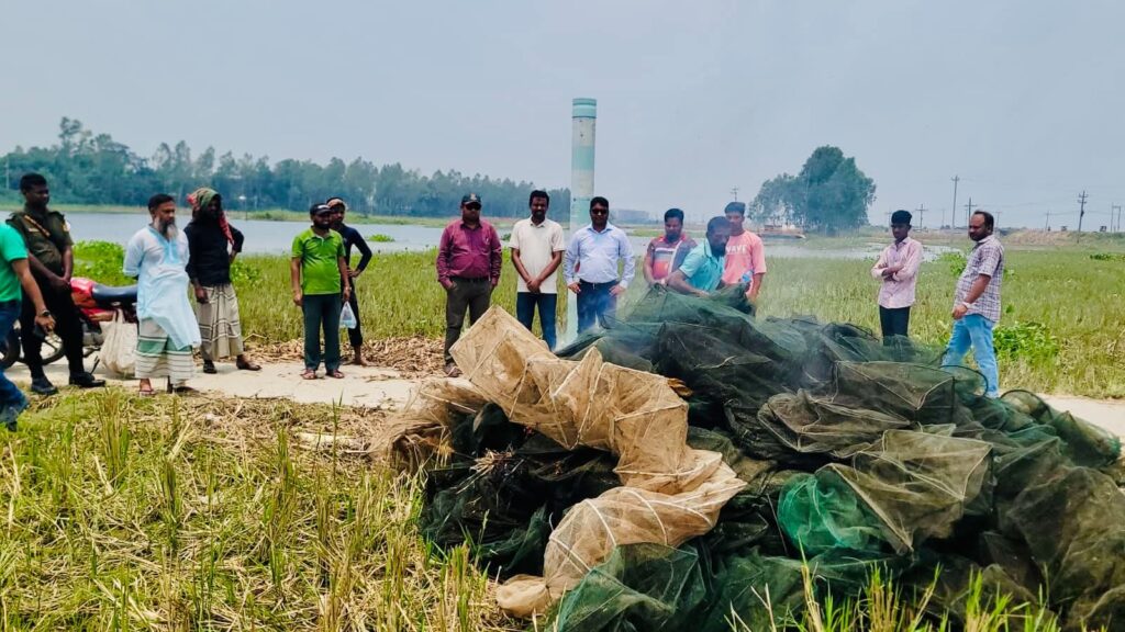 চলনবিলে প্রশাসনের অভিযানে অর্ধশতাধিক অবৈধ চায়না দুয়ারী জাল জব্দ, পুড়িয়ে ধ্বংস